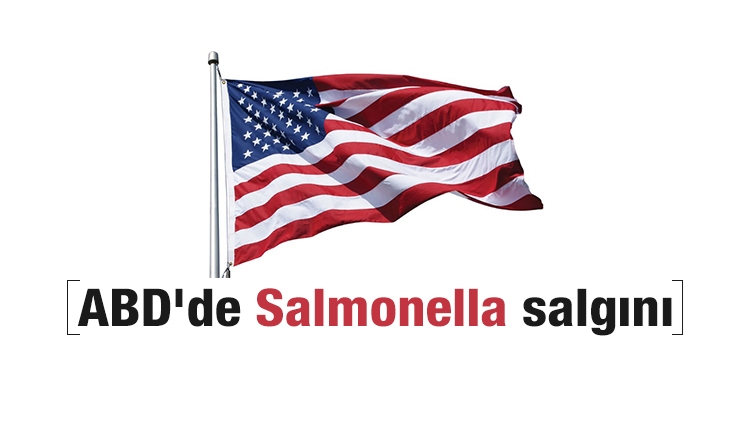 ABD'de Salmonella salgını yayılıyor