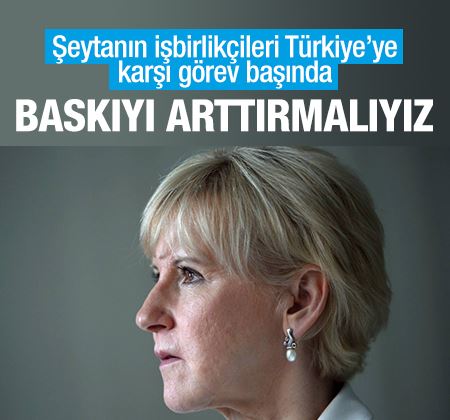 İsveç Dışişleri Bakanı: Türkiye üzerindeki baskıyı arttırmalıyız