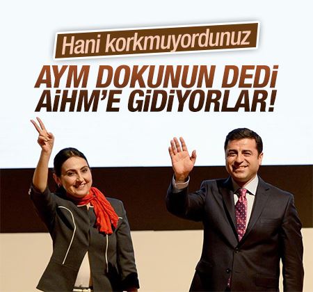 AYM'den CHP ve HDP'ye ret