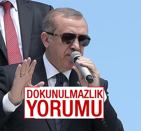 Cumhurbaşkanı Erdoğan'dan dokunulmazlık oylaması yorumu