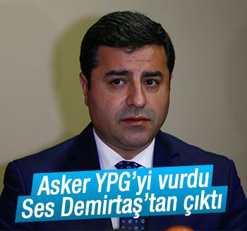 Demirtaş: PYD değil AKP terör örgütü
