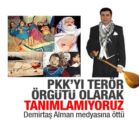 Demirtaş: PKK’yı terör örgütü olarak tanımlamıyoruz