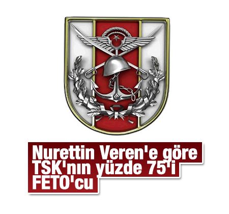 Nurettin Veren'e göre TSK'nın yüzde 75'i FETÖ'cü