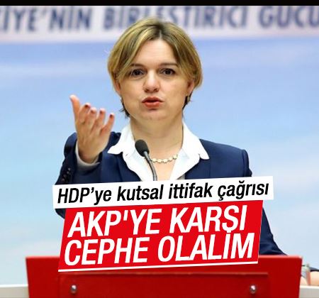 CHP'li Böke'den HDP'ye: AKP'ye karşı cephe olalım