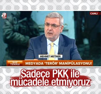 Mehmet Metiner: Sadece PKK ile mücadele etmiyoruz