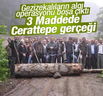 Bakan Eroğlu: Eylemciler Cerattepe'de ağaç kesti