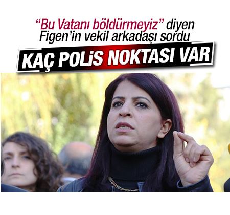 HDP'li vekilden 'polis noktası' sorusu