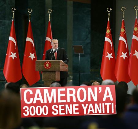 Cumhurbaşkanı Erdoğan'dan Cameron'a 3 bin sene yanıtı