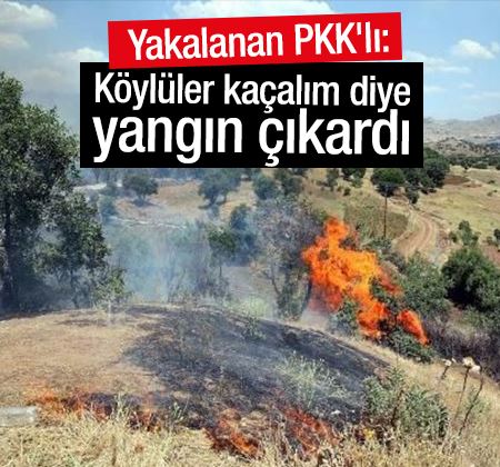 Yakalanan PKK'lı: Köylüler kaçalım diye yangın çıkardı