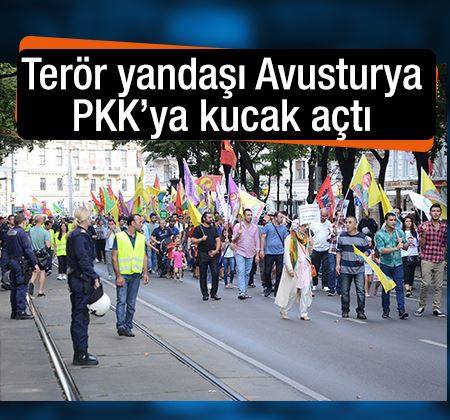 Türk bayrağını yasaklayan Avusturya PKK'ya kucak açtı