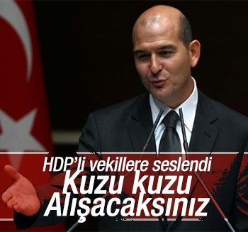 Soylu'dan HDP'li vekillere: Kuzu kuzu alışacaksınız